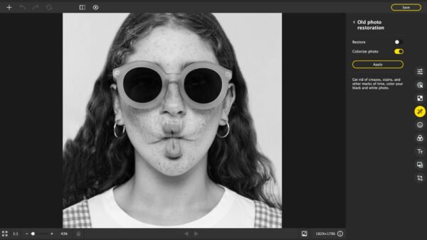 Movavi Photo Editor 2023 (1 PC, 1 Year) - Movavi Key - GLOBAL - Image 5
